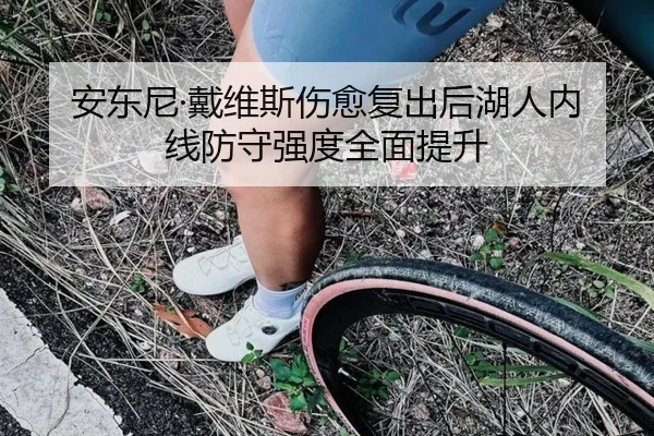 安东尼·戴维斯伤愈复出后湖人内线防守强度全面提升